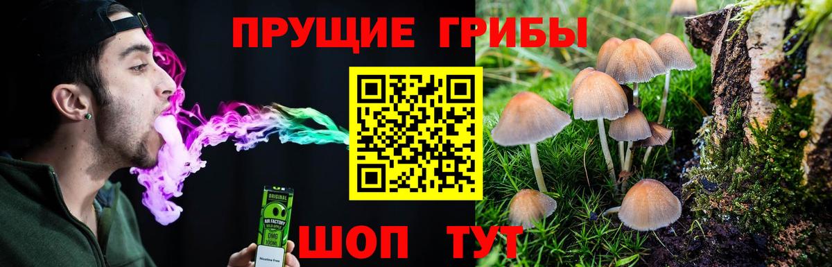 Псилоцибиновые грибы Magic Shrooms  Вход с VPN  Арсеньев  Галлюциногенные грибы прущие грибы 